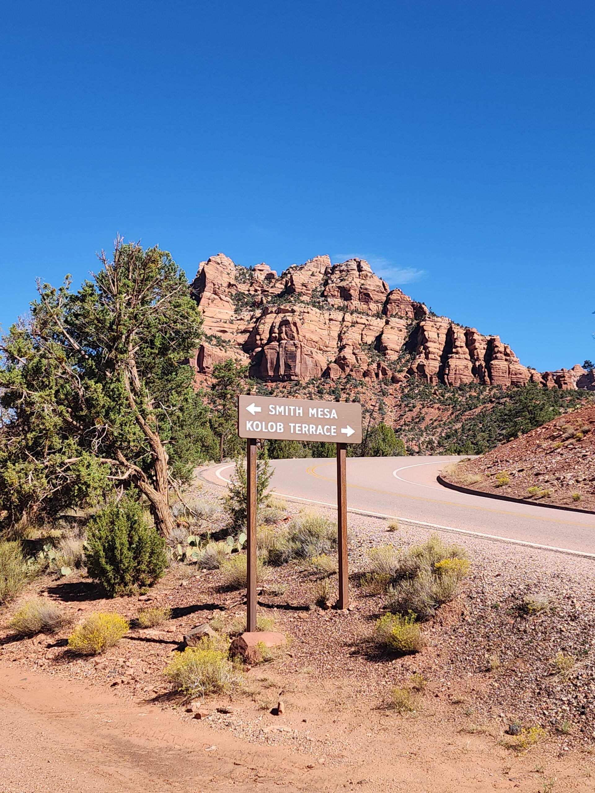 Desert landscape photographed by Mike Sayler